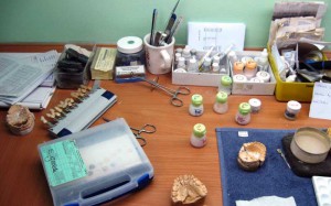 Totalne i parcijalne proteze - Stomatološka ordinacija NS Dental Studio