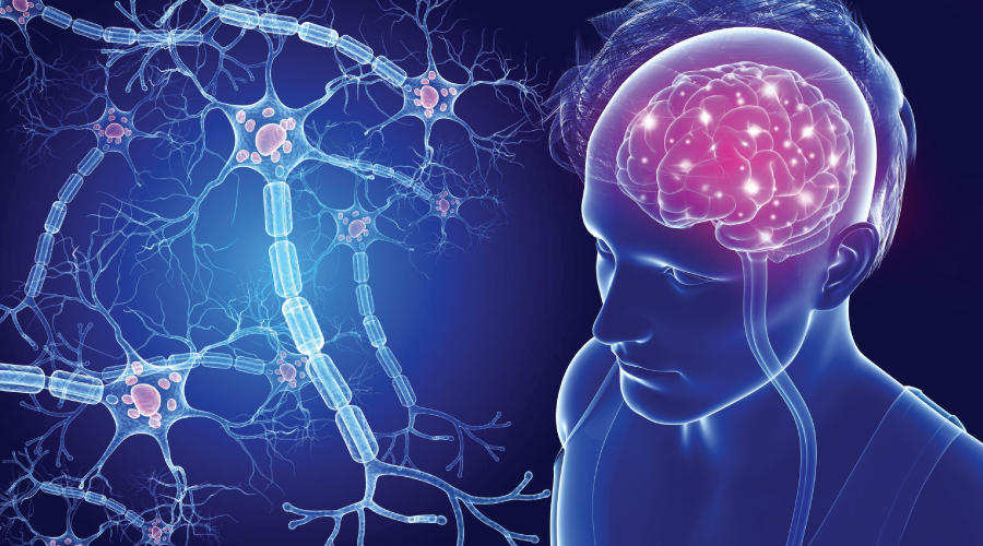 Multripla skelroza Neuropraxis Novi Sad